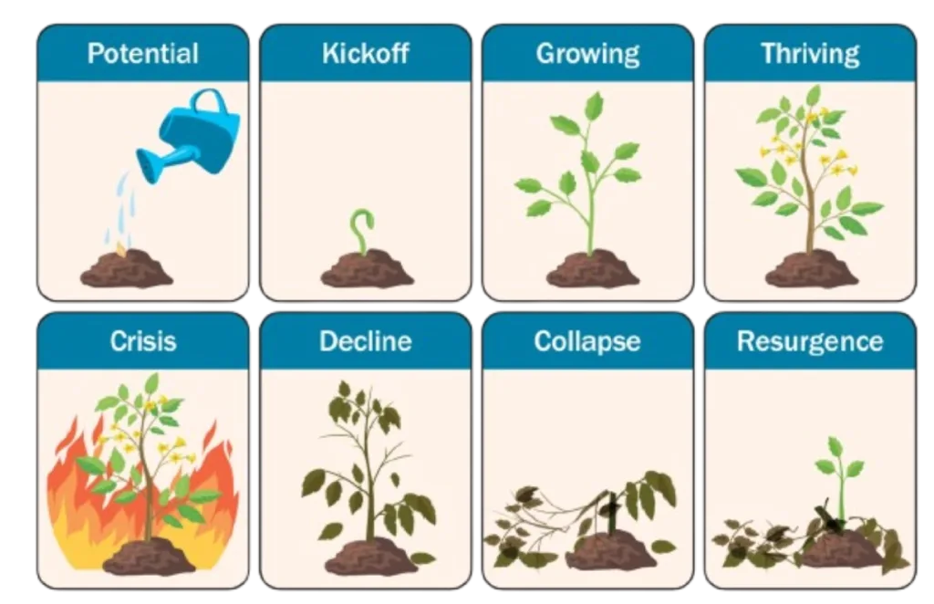چرخه حیات و بلوغ سازمانها