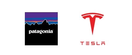 برندهای Patagonia و Tesla